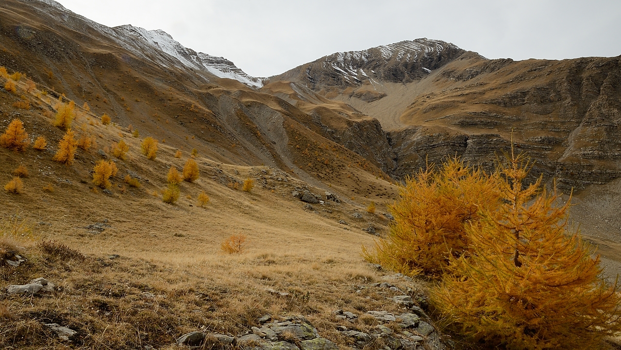 20151024-016-Prapic-Reyna.jpg - Enfin de retour dans l'herbe douce vers le Serre des Sagnes ... mais il reste un passage raide pour contourner des barres juste en-dessous 