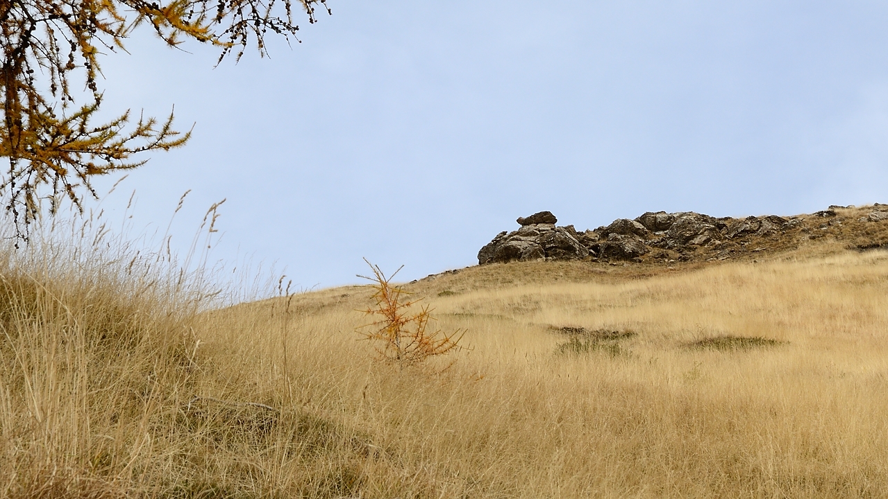 20151025-017-Prapic-Drouvet.jpg - ... juste sous la crete du Queyrelet 