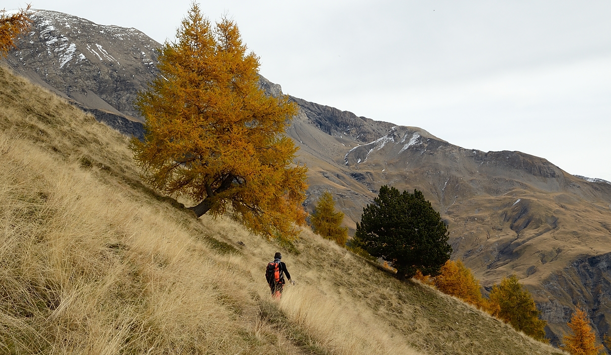 20151025-021-Prapic-Drouvet.jpg -  ...