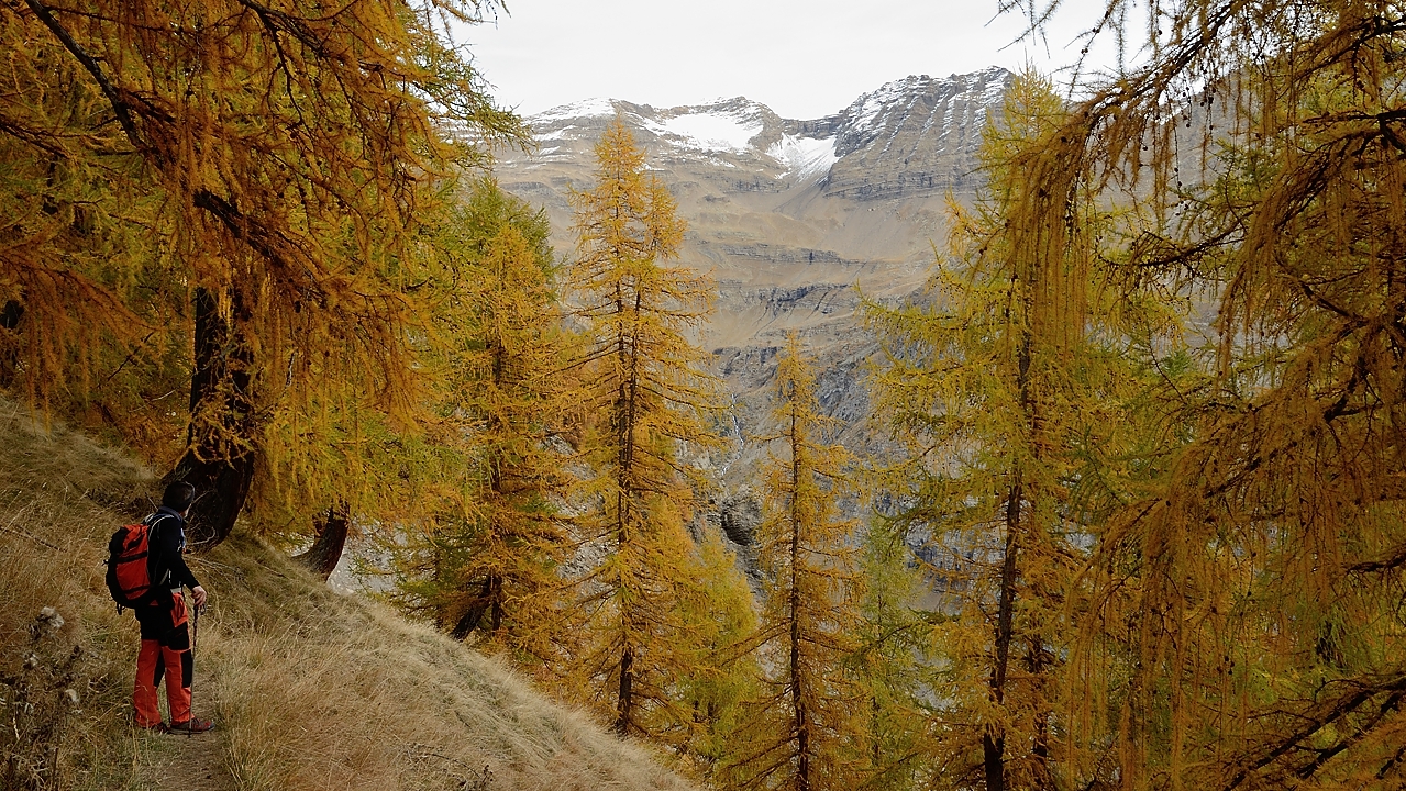 20151025-022-Prapic-Drouvet.jpg - Dans la magnifique descente directe sur Prapic  ... 