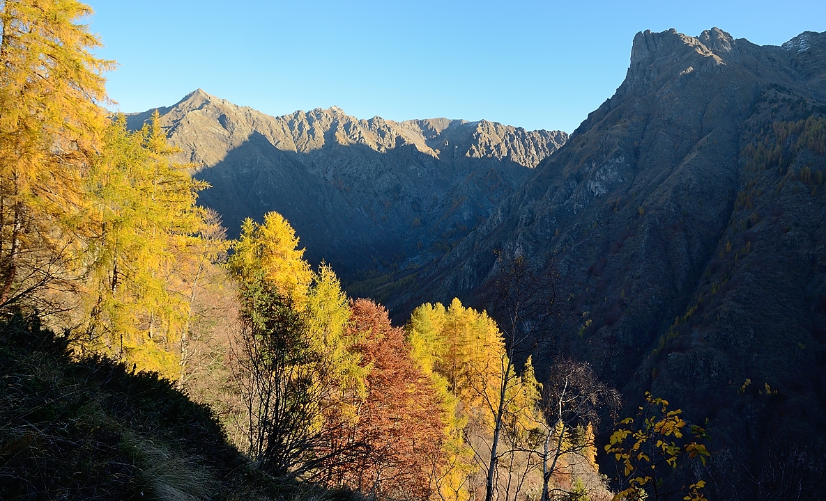 20151031-003-Barry.jpg - Enfin au soleil ... a mi-hauteur vers le col du Cendrié