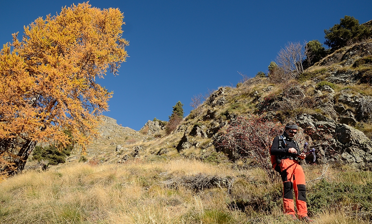 20151031-009-Barry.jpg - Juste sous le col du Cendrié a la descente 