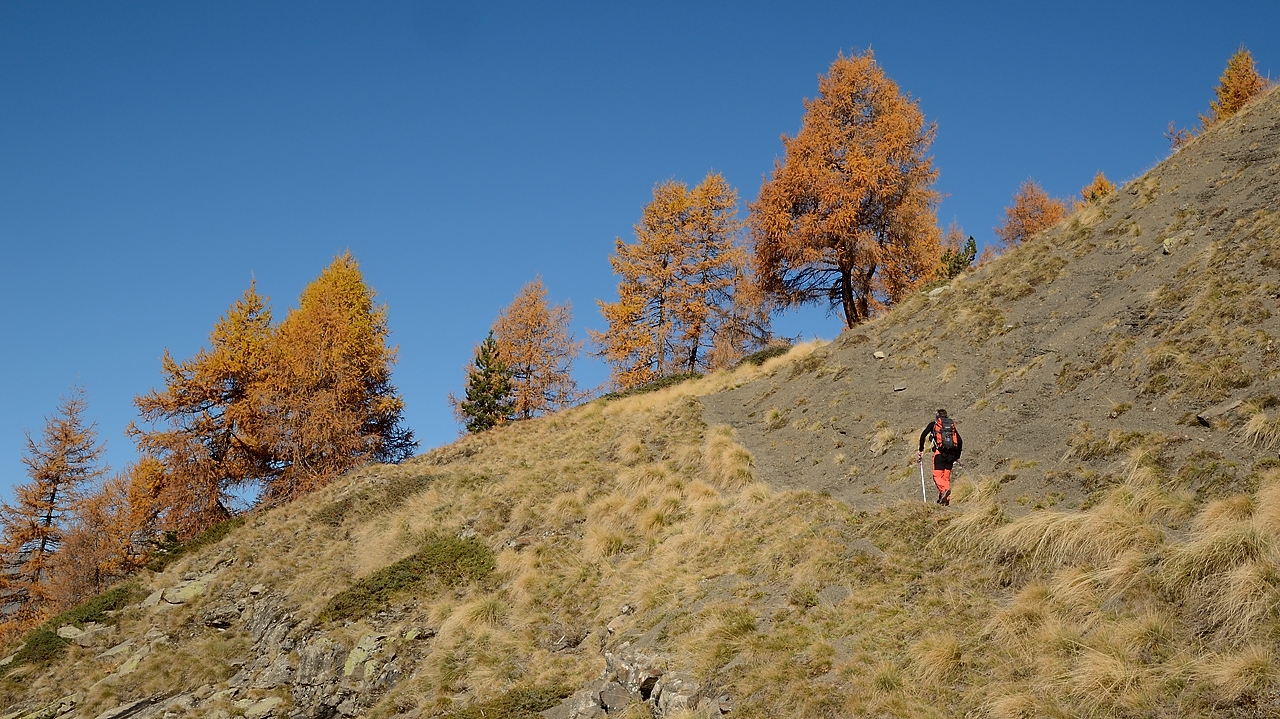 20151031-011-Barry.jpg - Non loin du Col de l'Escalier (dans la montée)