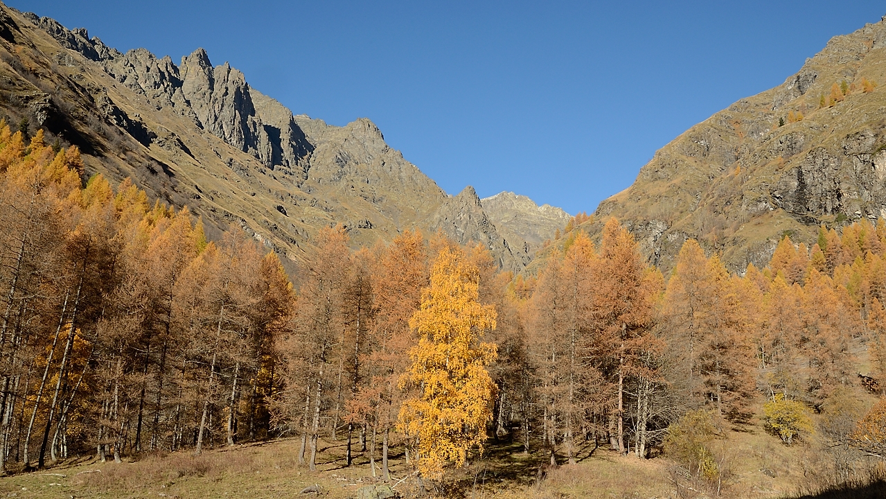 20151031-018-Barry.jpg - Sur le chemin de la Ronde, probablement dans le vallon encore ensoleillé des Chazalet