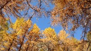 20151101-010-FontFroide