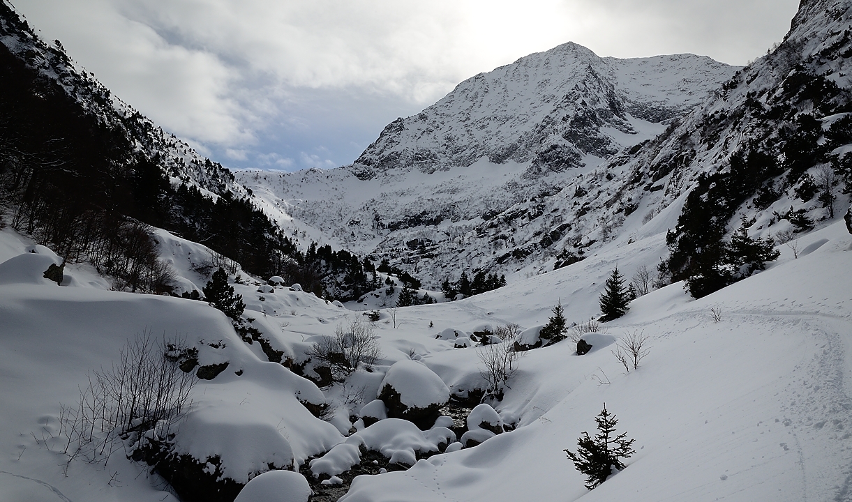 20160220-017-PlanCol.jpg - Au fond notre arête : et on voit bien qu'on y peut seulement voir l'antecime, le  sommet étant plus en arrière (à droite vu d'ici) ... et le Pt Armet est plus bas et encore plus loin