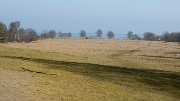 20160311-011-Copenhaguen