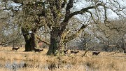 20160311-025-Copenhaguen