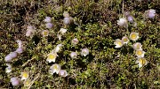 20160521-014-AigArgentieres