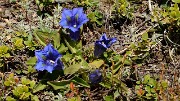 20160521-016-AigArgentieres