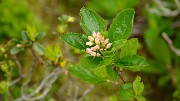 20160702-004-ArollesChamrouss