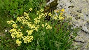 20160702-011-ArollesChamrouss