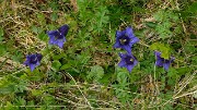 20160702-014-ArollesChamrouss