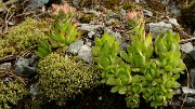 20160702-018-ArollesChamrouss