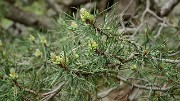 20160702-021-ArollesChamrouss
