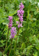 20160702-029-ArollesChamrouss