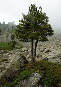 20160702-046-ArollesChamrouss