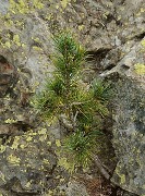 20160702-047-ArollesChamrouss