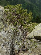 20160702-049-ArollesChamrouss