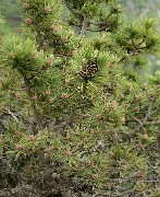 20160702-051-ArollesChamrouss