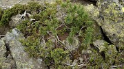 20160702-054-ArollesChamrouss