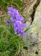 20160702-058-ArollesChamrouss