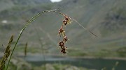 20160702-059-ArollesChamrouss
