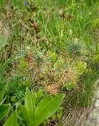 20160702-063-ArollesChamrouss