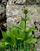 20160702-071-ArollesChamrouss