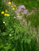 20160702-075-ArollesChamrouss