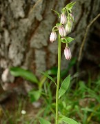 20160703-014-GargasValjoufrey