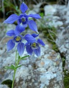 20160703-020-GargasValjoufrey