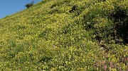 20160703-028-GargasValjoufrey