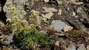 20160703-031-GargasValjoufrey