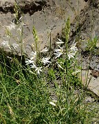 20160703-036-GargasValjoufrey