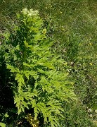 20160703-042-GargasValjoufrey