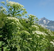 20160703-047-GargasValjoufrey