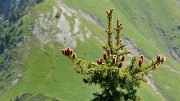 20160703-049-GargasValjoufrey