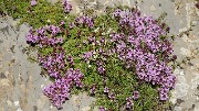 20160703-051-GargasValjoufrey