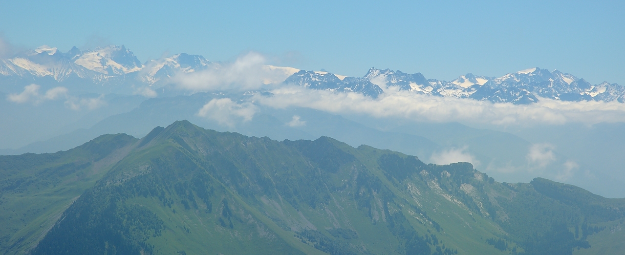 20160716-033-Trelod.jpg -  ... et bien plus loin, les Ecrins ; on reconnait facilement le glaciers des deux Alpes et plus a gauche la Meije et la Barre des Ecrins