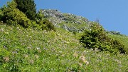 20160716-040-Trelod