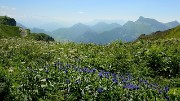 20160716-043-Trelod