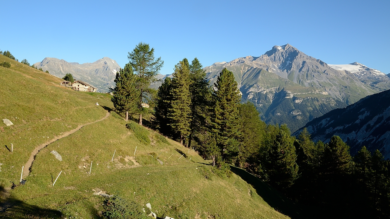20160827-001-Bramanette.jpg - On sort un peu de la forêt vers la ferme de Montbas (il y a un refuge tout neuf juste a coté) -- et au fond la Dent Parraché