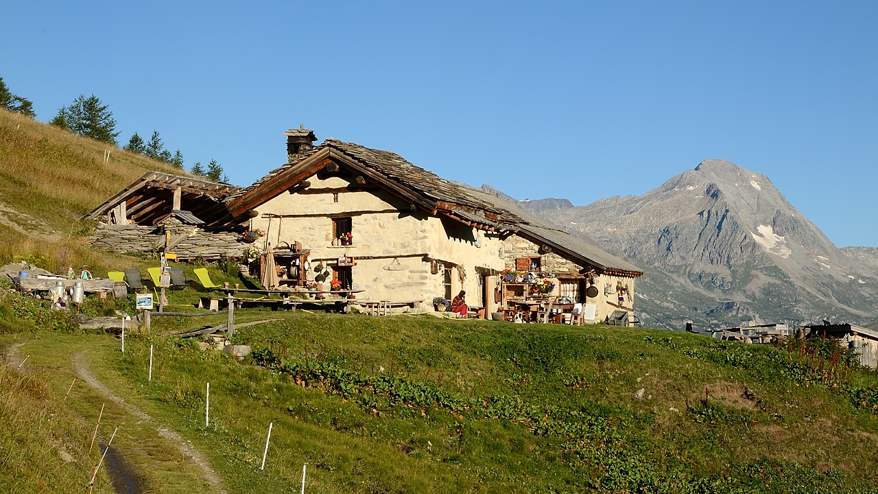 20160827-003-Bramanette.jpg - La ferme Montbas