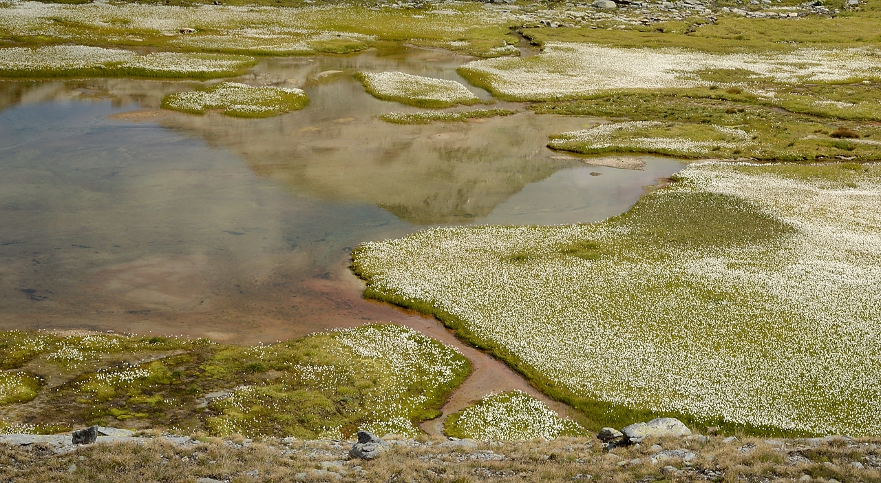 20160828-028-PasCoche.jpg -  ... le meme lac vu de l'autre cote