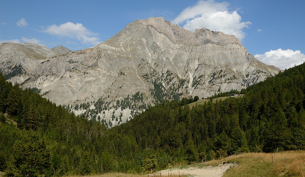20160828-035-PasCoche.jpg - La Pointe de Bellecombe (?) de plus pres