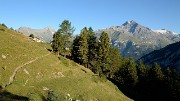 20160827-001-Bramanette