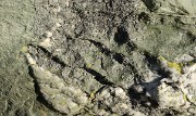 20160828-005-PasCoche