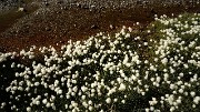 20160828-009-PasCoche