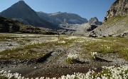 20160828-010-PasCoche